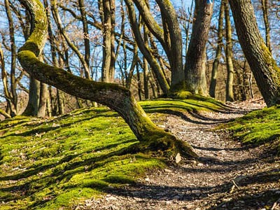 数字商城正规的免费手机号轰炸机
